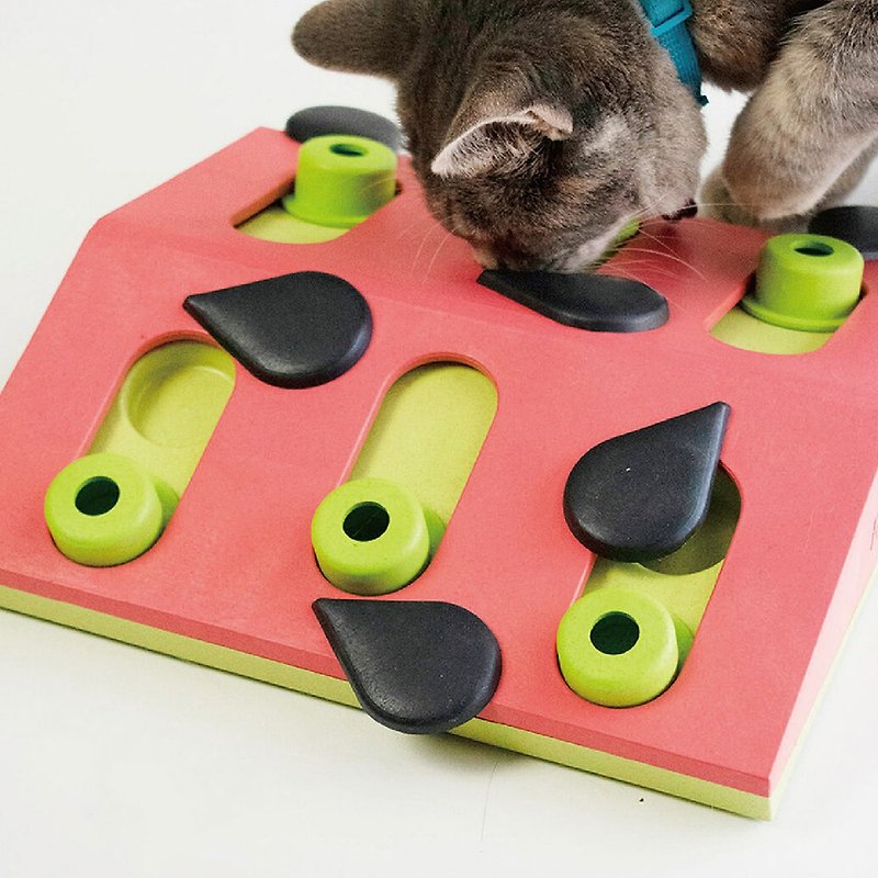 Rubber Pet Toys - Nina Ottosson Melon Madness Puzzle & Play Cat Game