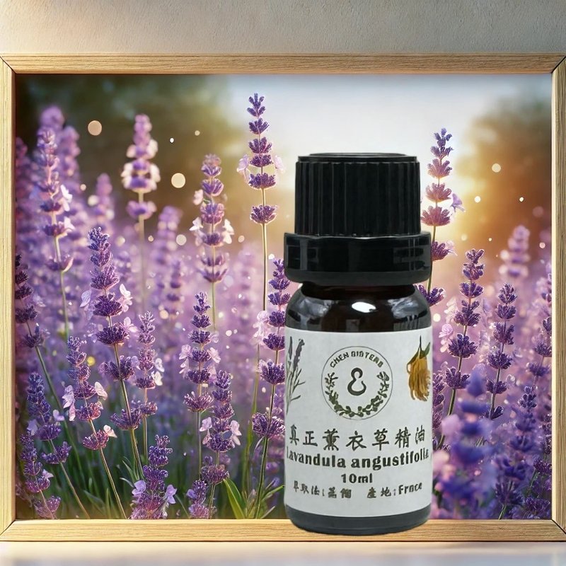 天然純精油 薰衣草100%純精油 10/50ML 單方精油 贈玫瑰擴香石 - 香氛/精油/擴香 - 精油 