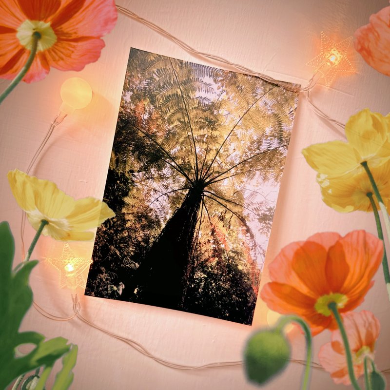 have a nice day 外星人遊台灣明信片/酷卡/筆筒樹/大天使們 - 卡片/明信片 - 紙 多色