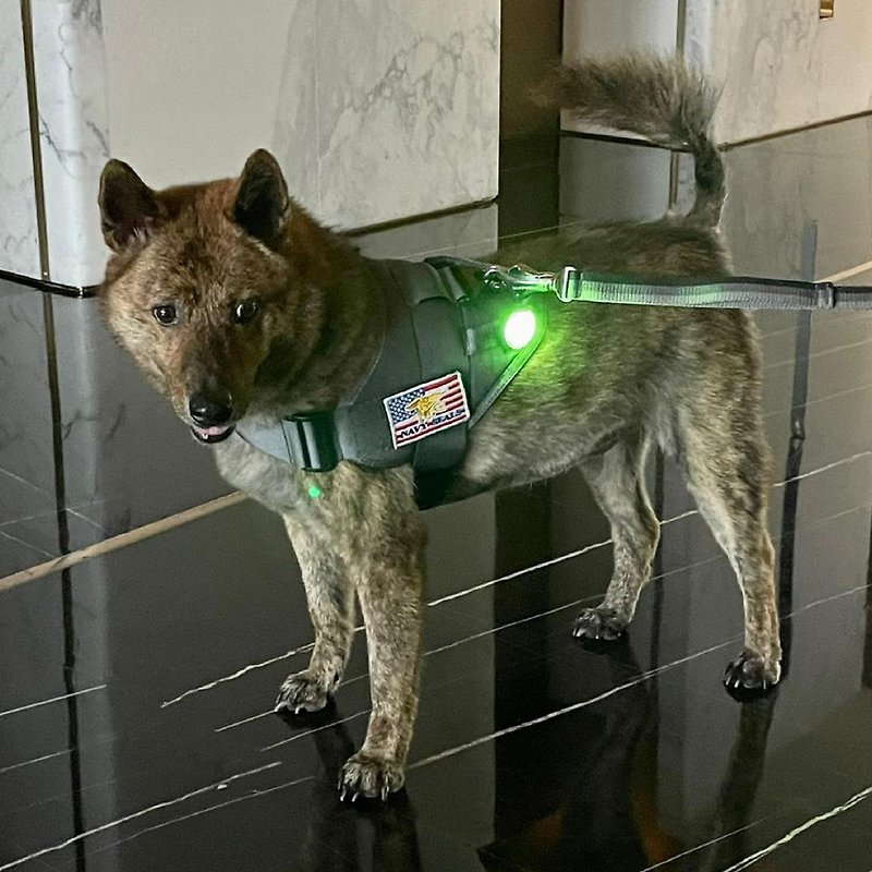 TTP戰術防水安全燈 - 寵物衣服 - 防水材質 黑色