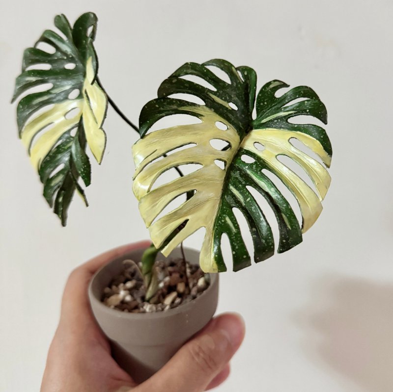泰斑龜背芋皮革製 - 擺飾/家飾品 - 真皮 