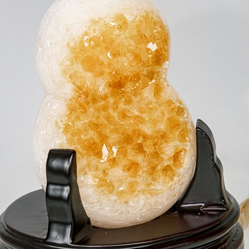 ピーナッツです！ Pete's Nuts Tee – Avantris Entertainment