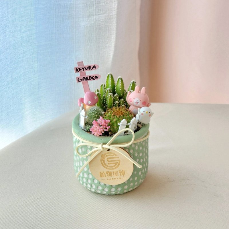 PD118 succulent cactus potted plant/cute doll potted plant office potted plant - Plants - Plants & Flowers 