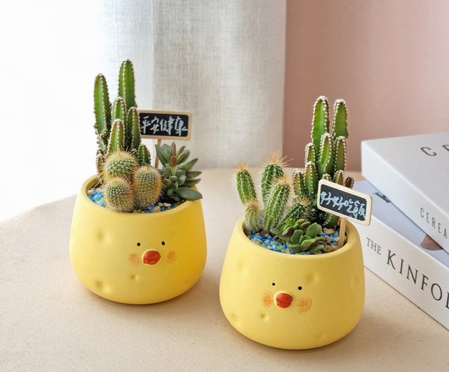 職人鉢 多肉植物 サボテンにも PD118 多肉植物サボテン鉢植え/かわいい人形鉢植えオフィス