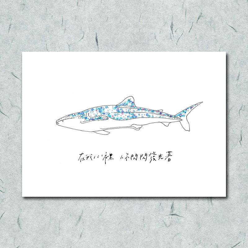 Animal 28/ circle/ whale shark/ fish/ hand-painted/card postcard - Cards & Postcards - Paper 