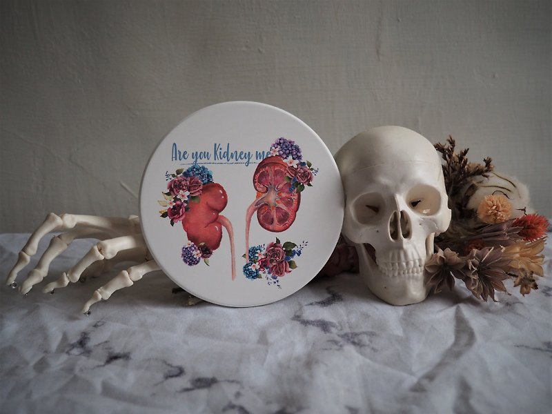 Anatomy Art_Ceramic Coasters_Are you kidney me - Coasters - Pottery White