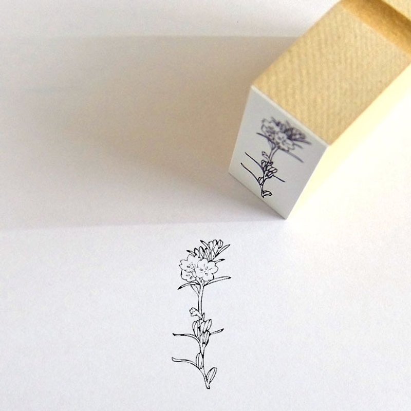 Rubber stamp evening primrose - Stamps & Stamp Pads - Rubber Brown