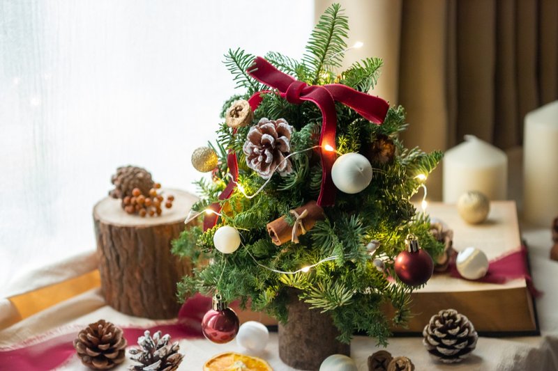 【Triple Parent-Child Christmas Course】Handmade Small Christmas Tree | Parent-child Handicraft Activities | Drinks and Snacks - Plants & Floral Arrangement - Plants & Flowers 