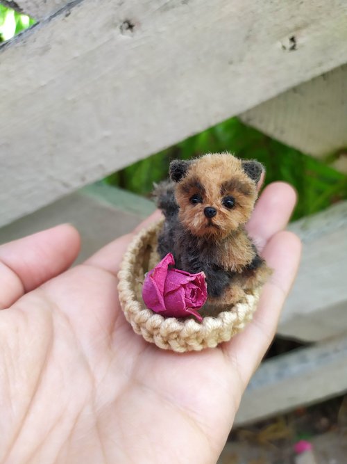 HeyMiniToysnVINTAGE Miniature realistic Teddy dog Yorkshire Terrier Yorkie puppy pet for doll Blythe