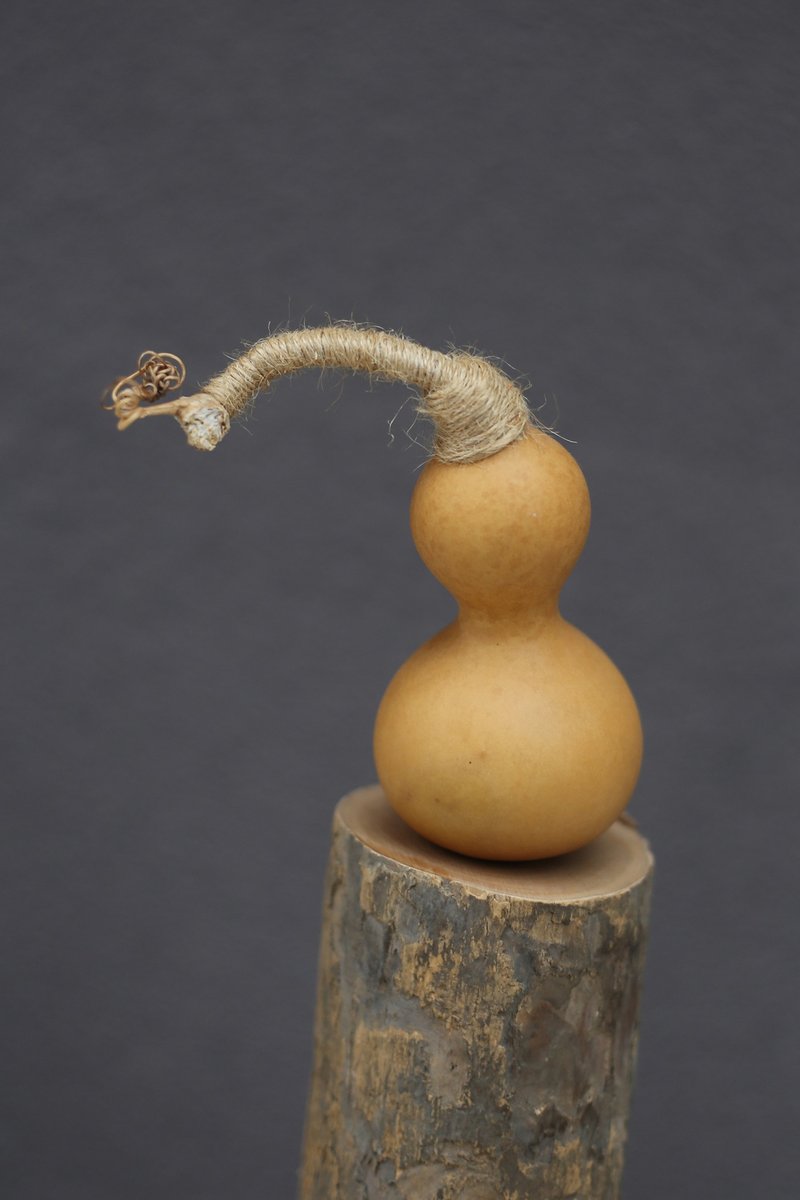 NO.8原創手作 | 天然葫蘆 擺件 裝飾 | 一物一圖 自然生長 - 擺飾/家飾品 - 植物．花 咖啡色