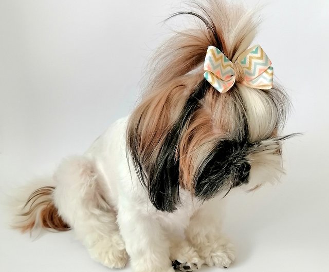 Petite Dog Bowssmall Dog Hair Bowspigtail Bows for Dogsbows 