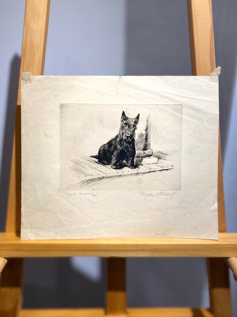 Washington DC Artist Morgan Stinemetz - Scottish Terrier - Etching - Etching - โปสเตอร์ - กระดาษ ขาว