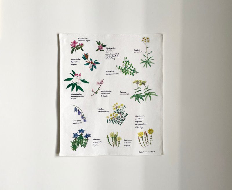 Taiwan mountain forest hanging cloth - alpine flower / with hanging cloth clip - Posters - Cotton & Hemp White