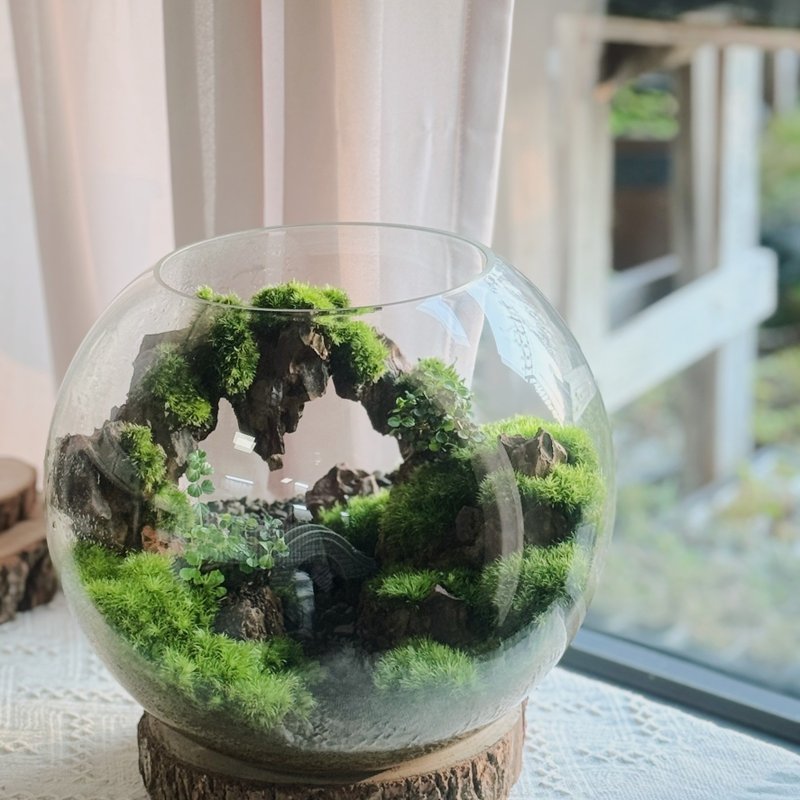 【微景觀】一方山水 苔蘚缸(A款).生態缸.微景觀 - 盆栽/植栽 - 植物．花 綠色