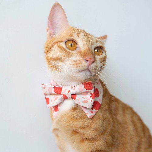皮摩妮・寵物生活館 士多啤梨夢 貓狗寵物項圈 領結造型粉紅色圍脖 可印寵物名字