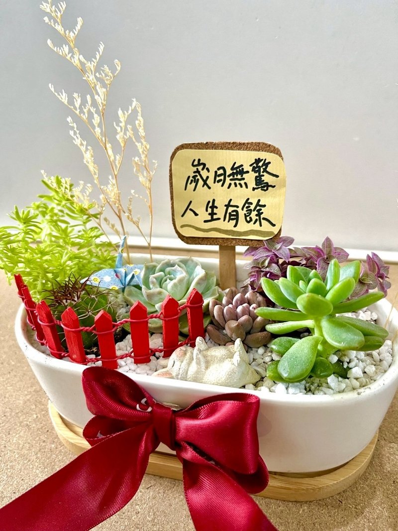 多肉組盆 多肉植物 日式枯山水 兔子 白兔 兔奴送禮 禪意 客製化 - 盆栽/植栽 - 植物．花 綠色