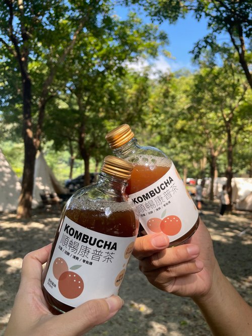 添菜生活 【添菜生活】順暢康普茶(荔枝風味) 300ml/瓶 / 3入組