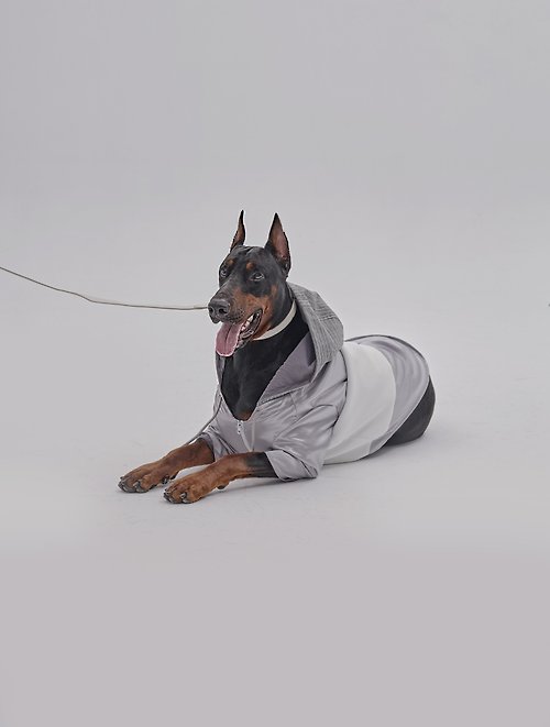 PEHOM 【PEHOM】 寵物服飾 | 狗狗拉鍊帽衫 - 太空棉拼接色