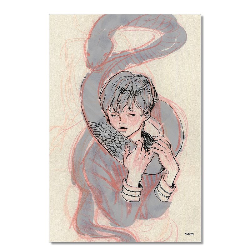 Postcards / Entangled / NOMA - 卡片/明信片 - 紙 