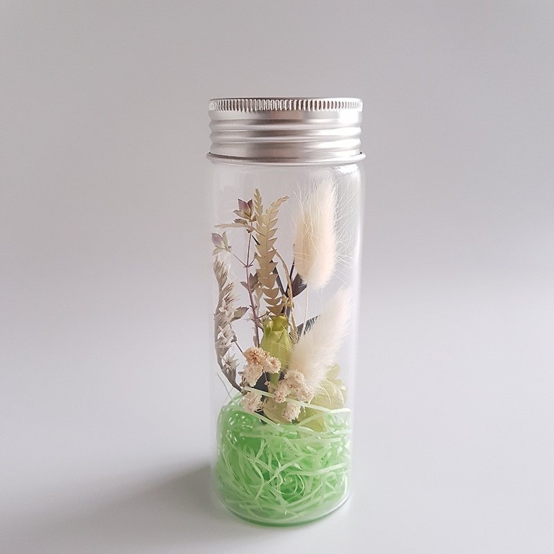 清透玻璃瓶乾燥花小瓶花(大)-綠色系 - 裝飾/擺設  - 植物．花 綠色