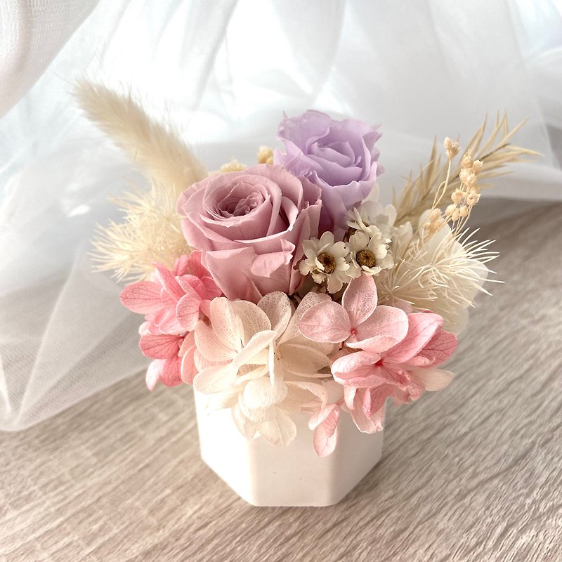 Preserved flower diffuser Stone small potted plant Mother's Day gift handmade preserved flower imported from Japan - Plants - Plants & Flowers Multicolor