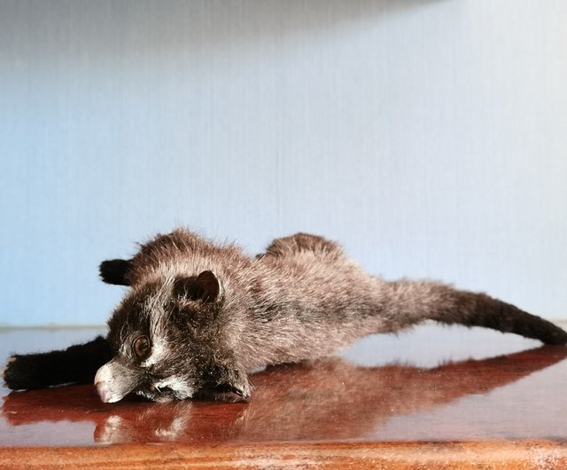 Civeta エキゾチックでリアルな動物のぬいぐるみ アートドール ポーズ