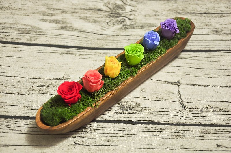 RAINBOW POWER││Preserved flowers with rainbow colors - ตกแต่งต้นไม้ - พืช/ดอกไม้ 