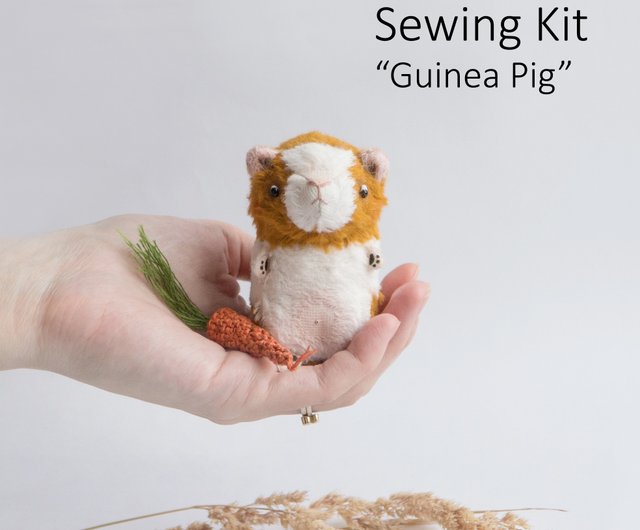 Guinea Pig Wool Felt Kit (with video instruction) - Shop woolwoolfelt  Knitting, Embroidery, Felted Wool & Sewing - Pinkoi