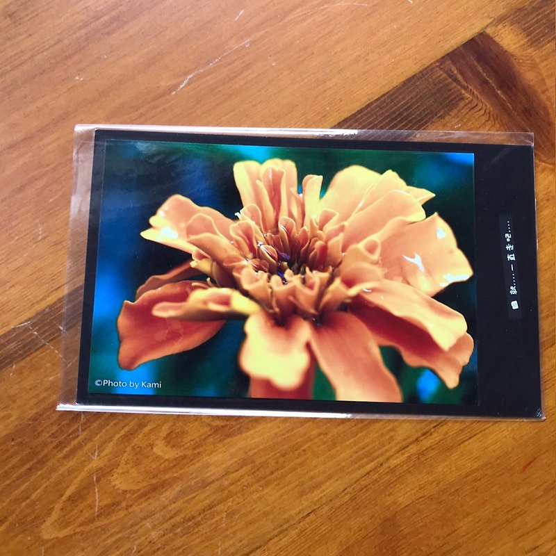 Handmade Limited Postcards-Flower Language/Taiwan Small Object Photography