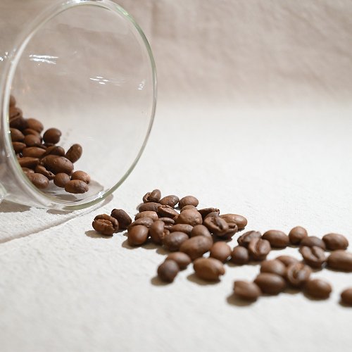 Funbodhi 方菩提 哥斯大黎加 羅馬莊園 低溫厭氧黑蜜 - 單品咖啡豆460g
