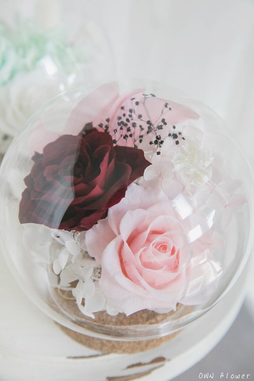 OWN Flower花藝設計 永生玫瑰花盅/永生花玻璃球/永生花禮/生日禮物/不凋花盅/不凋花