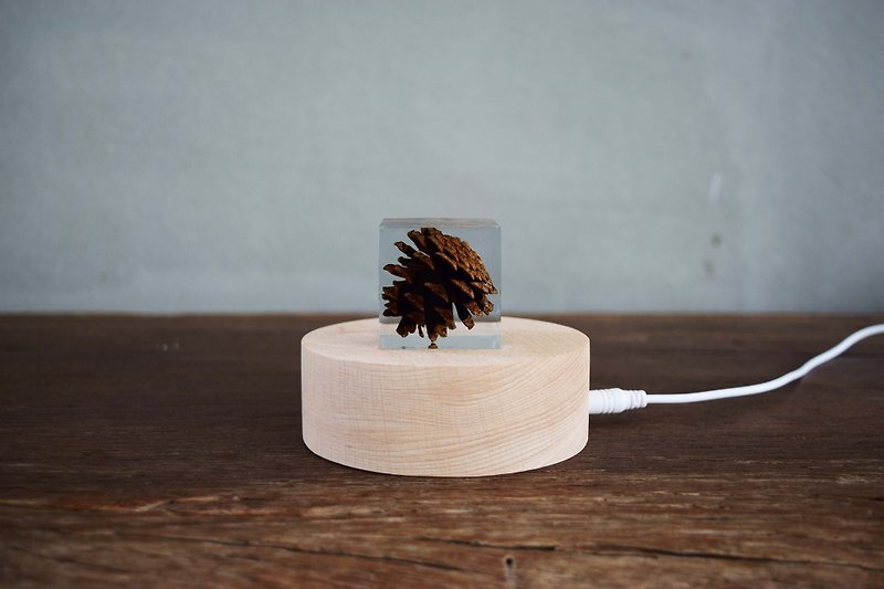 Dream World Pine Cone Ice Cube (4cm) - Items for Display - Resin White
