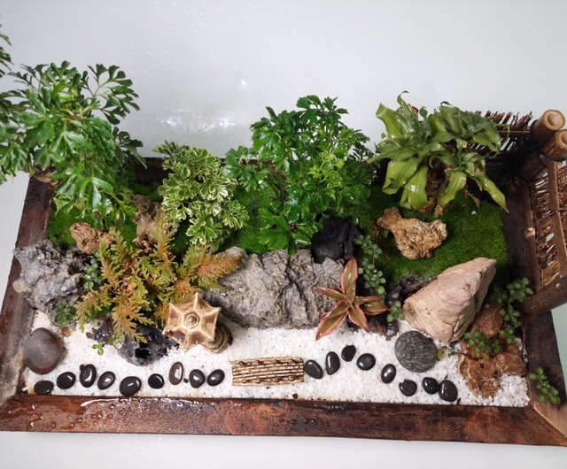 Floraison✥　2点おまとめ 和風庭園盆栽 AJ-4020 禅風 秘密の癒しの空想 - ショップ