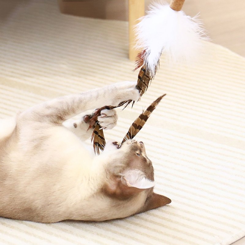 [Japanese CattyMan] Cat-cat telescopic fishing stick with 3 interchangeable toys - ของเล่นสัตว์ - วัสดุอื่นๆ สีส้ม