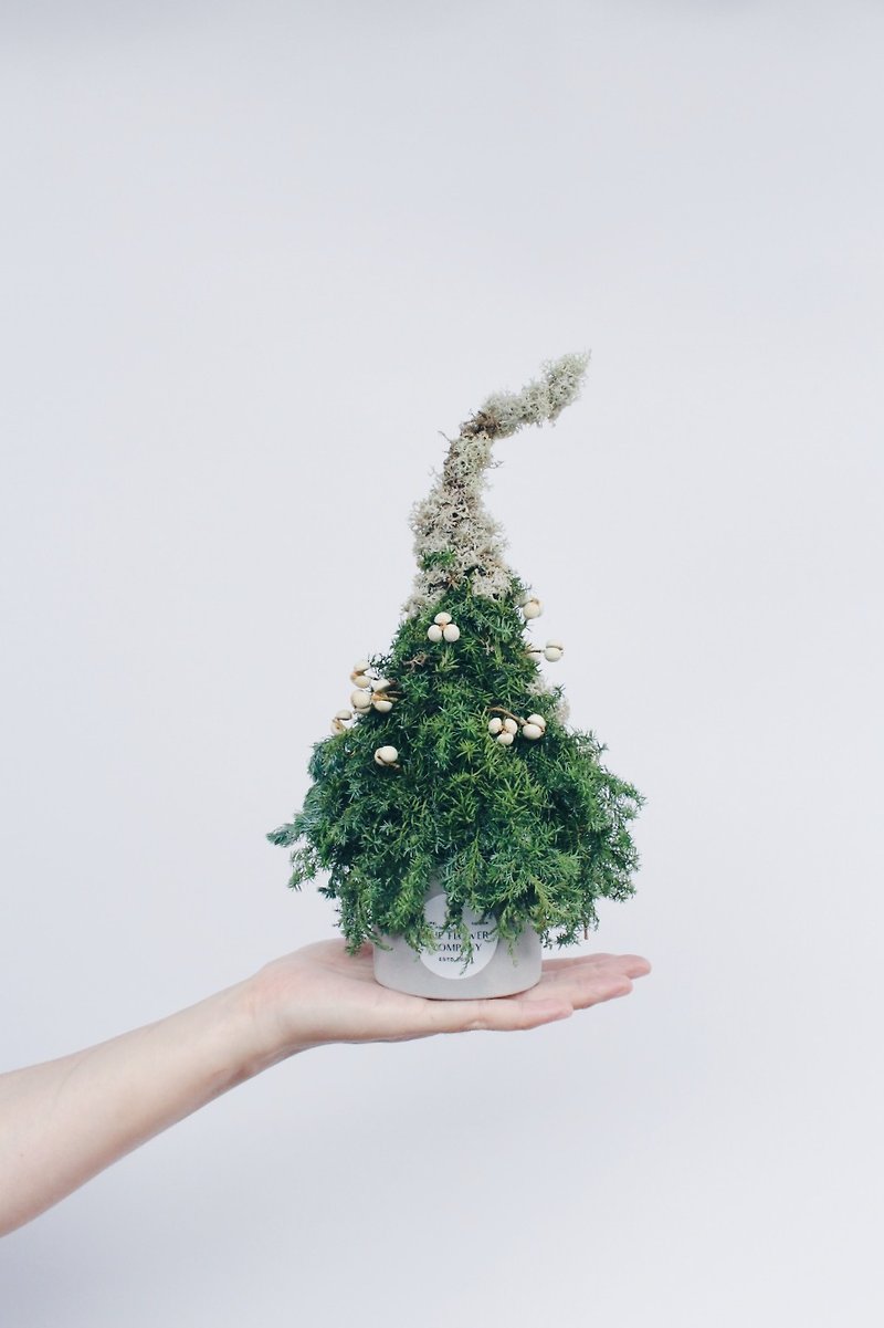 Xmas Dancing Elf【King of the Gods-Zeus】Dried Flower Christmas Tree Christmas Arrangement - Items for Display - Plants & Flowers 