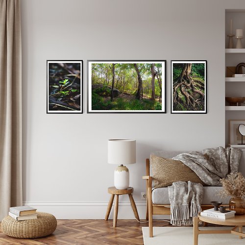 Ryan Campbell Photography Set of 3 Forest Prints - Breathe of Life Bundle