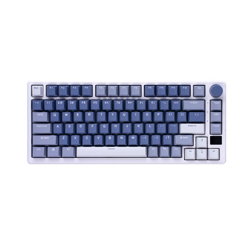 ROYAL KLUDGE 臺灣獨家代理 【RK】M75 75% 藍牙三模無線機械鍵盤 K黃軸 RGB海洋 中文