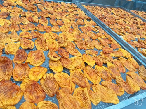 佳鑫果鋪 全館果乾 買五送一微糖愛文芒果乾  厚實軟Q