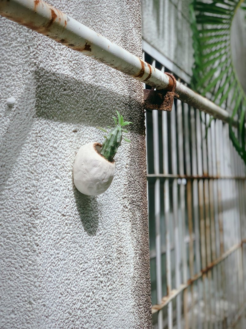 /肥肥的繭/ 手捏陶瓷植栽盆 - 花瓶/花器 - 陶 白色