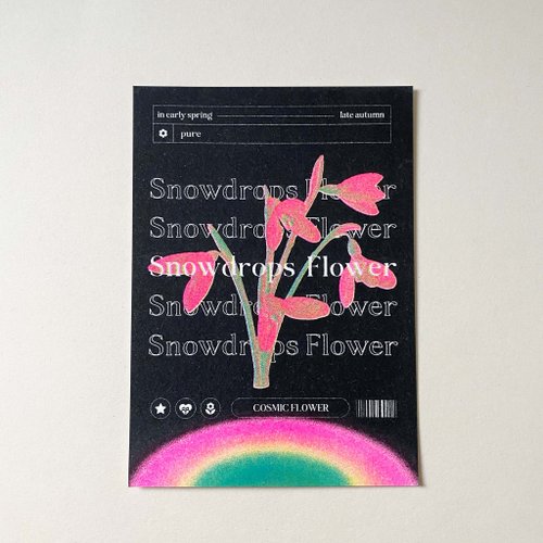 真氏 zhen studio 宇宙小花 snowdrops flower雪滴花款 孔版印刷 酷卡 明信片
