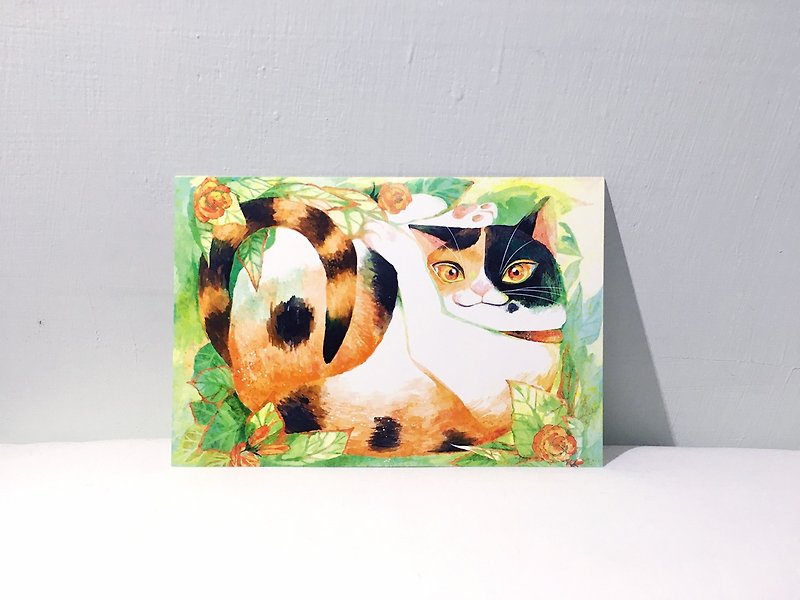 Three-color litter cat/double-sided postcard postcard - การ์ด/โปสการ์ด - กระดาษ สีเขียว