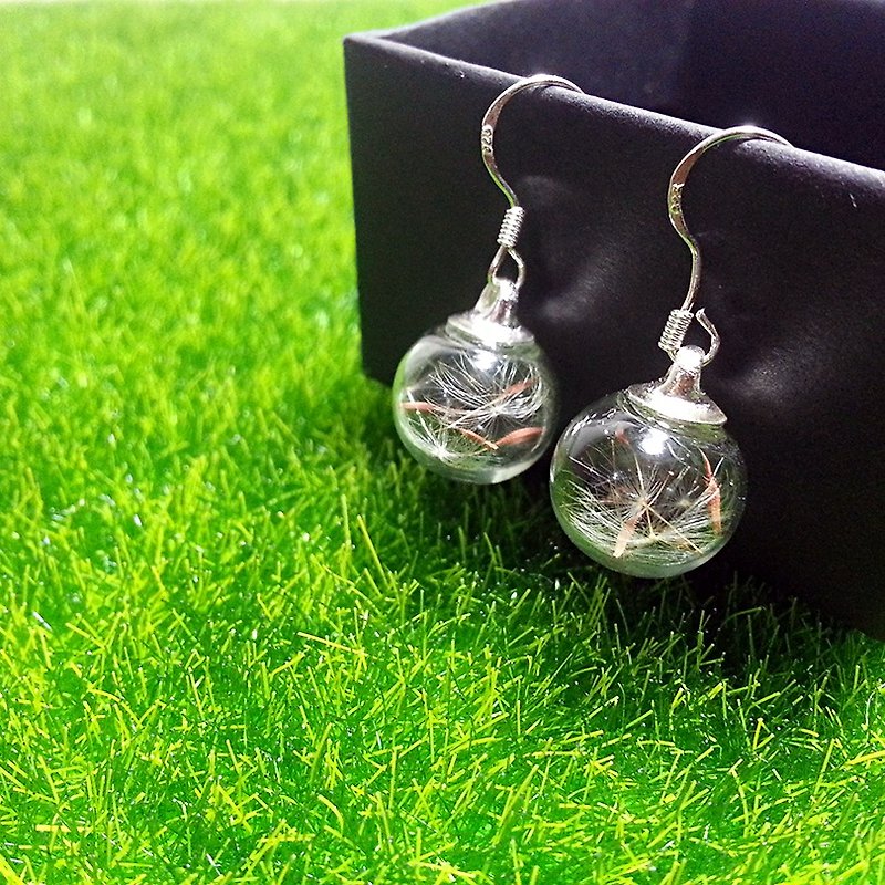 925 sterling silver earrings dandelion glass spheres (can be changed ear clip, ear pin) - Earrings & Clip-ons - Glass Transparent