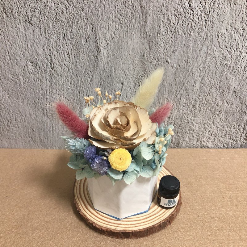 索拉花香氛小盆栽 乾燥花 附1.5ml香精油 擴香石 - 乾燥花/永生花 - 植物．花 卡其色