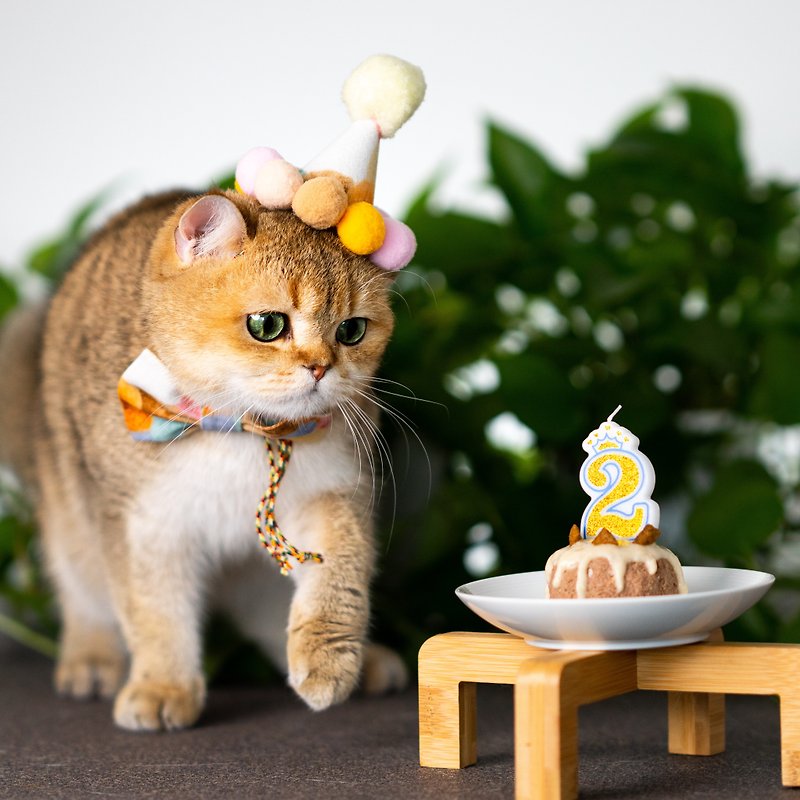 Happy Birthday Set - For Cats/Dogs
