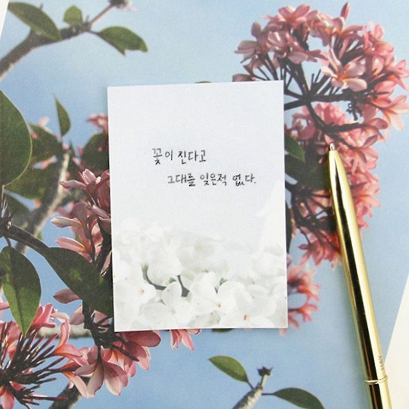 Second Mansion Natural Element Post Sticker-03 White Flower, PLD61594 - กระดาษโน้ต - กระดาษ ขาว
