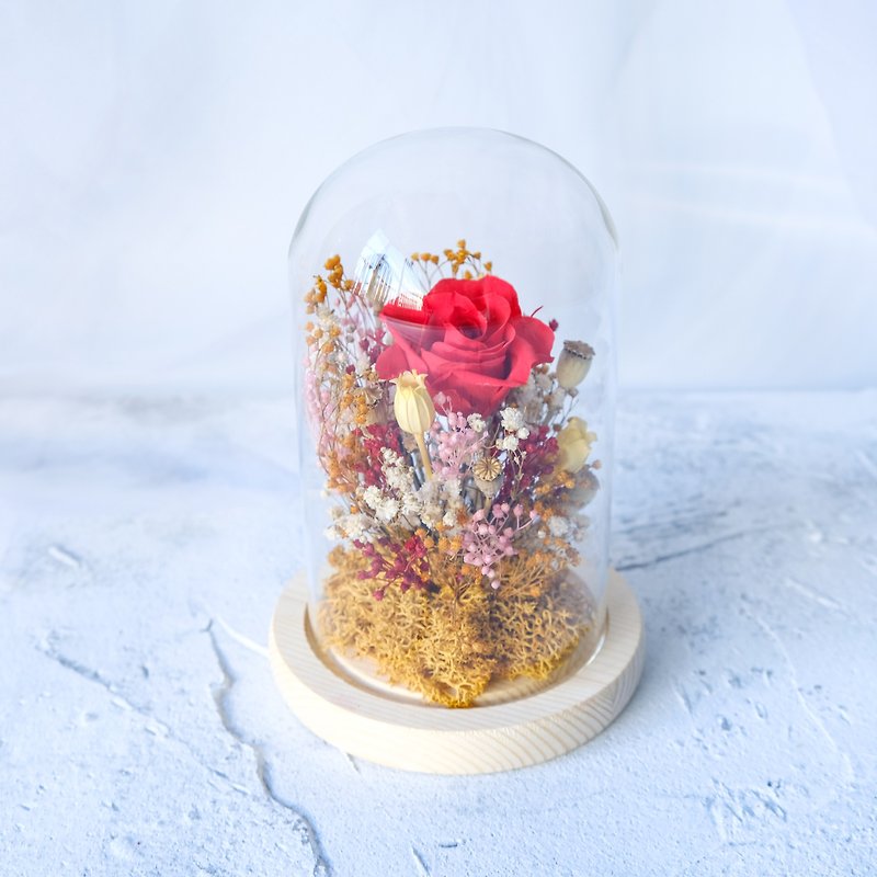 Glass bell jar/red/orange/no withered flowers/immortal flowers/dry flowers/Valentine's Day/Chinese Valentine's Day/Rose - Plants - Plants & Flowers Orange