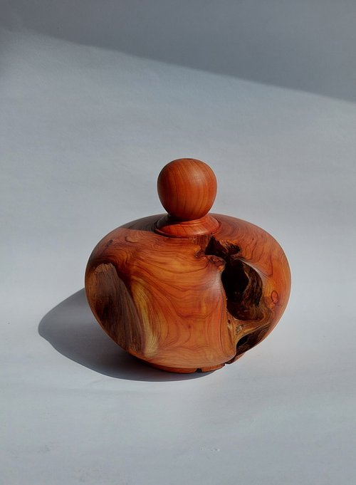 TONCH WOOD 絕品【洞洞龍柏聚寶盆】居家/辦公/開運聚財擺飾/木