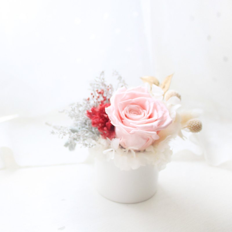 永遠の祝福/優雅なピンクの永遠のバラとカーネーション - ドライフラワー・ブーケ - 寄せ植え・花 ピンク