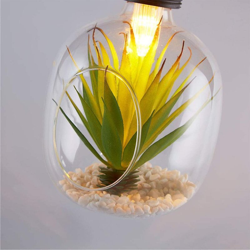 Glass Decorative Planting LED Light Bulb - โคมไฟ - หิน สีเขียว
