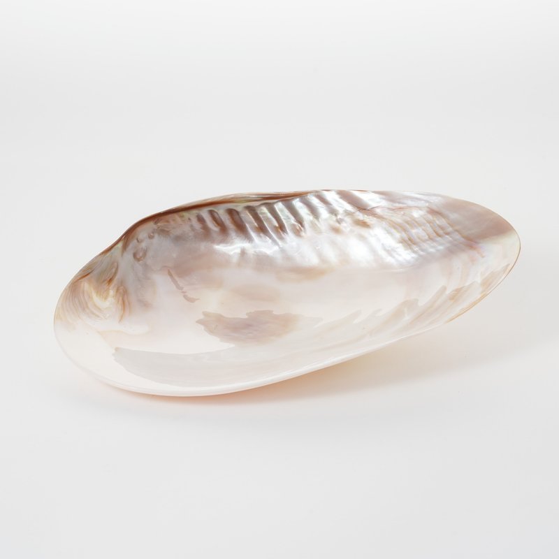 Mother pearl natural plate - Plates & Trays - Shell 